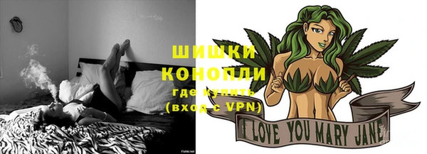 гидра Пересвет