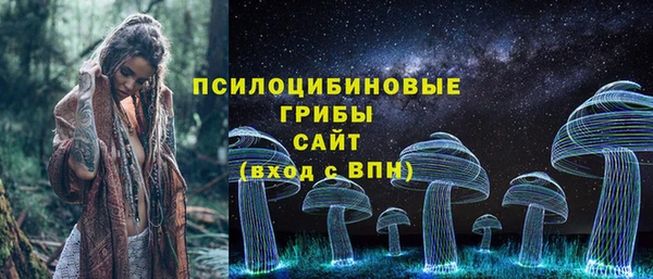 гидра Пересвет