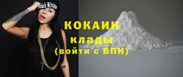 ГАЛЛЮЦИНОГЕННЫЕ ГРИБЫ Пестово