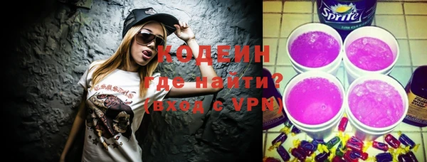 крисы Абаза